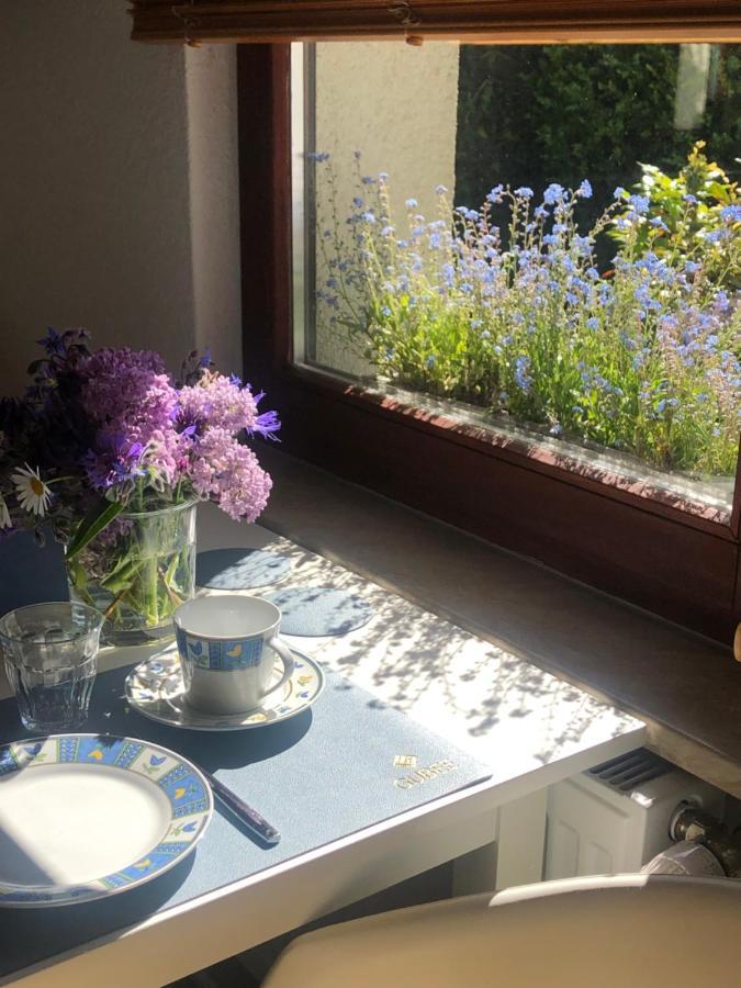 Appartement 1 Baltic Bergen Auf Rugen Esterno foto